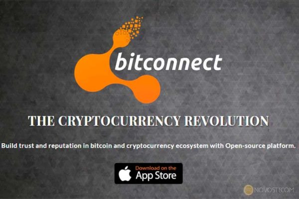 Инвесторы BitConnect в панике, поскольку цены на BCC упали на 90% и продолжают снижаться  