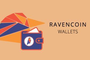 Raven Wallet – официальный кошелек для криптовалюты Raven Coin