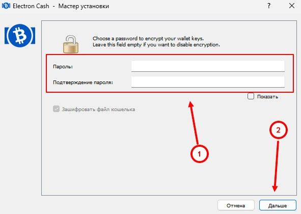 Ввод пароль от кошелька Electron Cash