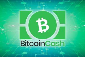 Криптовалюта Bitcoin Cash: что это, как купить и где хранить