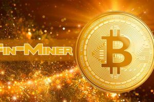 finminer