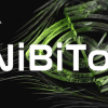 NVIDIA BIOS Editor (NiBiTor) – программа для редактора BIOS NVIDIA