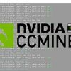Ccminer tpruvot: скачать и настроить