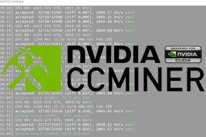 Ccminer tpruvot: скачать и настроить