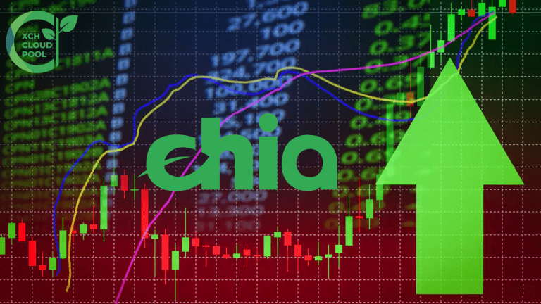 Перспективы криптопроекта Chia Network
