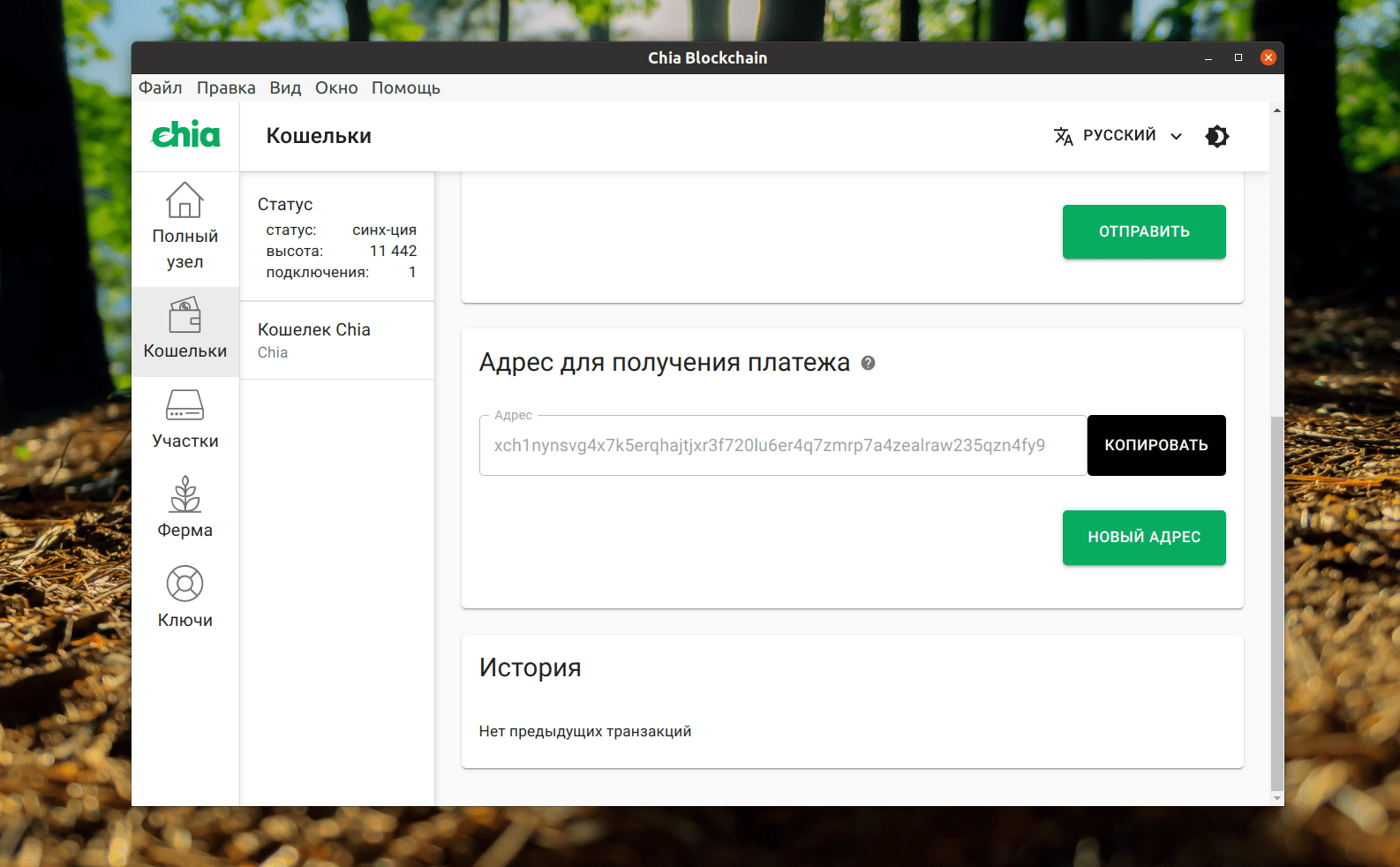Адрес в официальном кошельке Chia